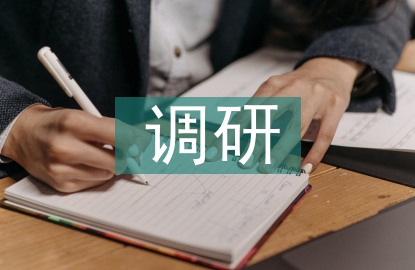 品牌戰略調研
