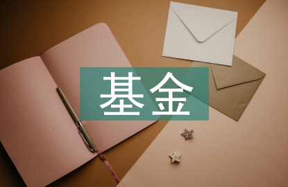基金的風險分析