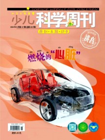 少兒科學周刊·兒童版